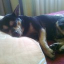  Vidmantas, , 52  -  28  2017    