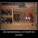 ������ �������� ��������...... �� ������� ������ ��������