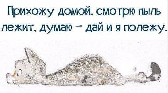 ☆ ☆ - 7  2016  14:05