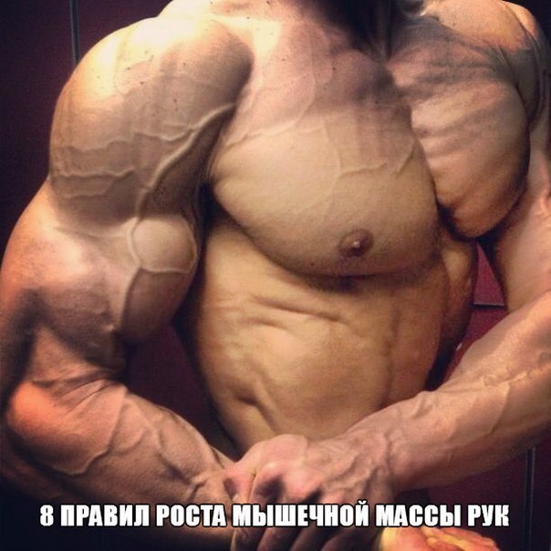 8 ПРАВИЛ РОСТА МЫШЕЧНОЙ МАССЫ РУК.Хотите накачать большие мускулистые руки? В данном выпуске мы ...