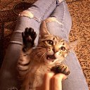 ���� �������, ���������� - ��������� 20 ������� 2017 � ������ ���� ����������
