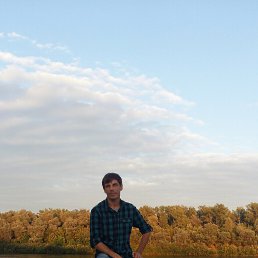 ������, �������, 41 ���