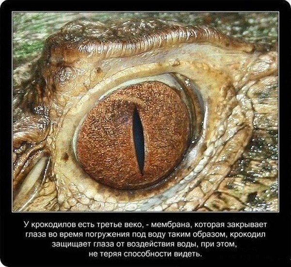    - 17