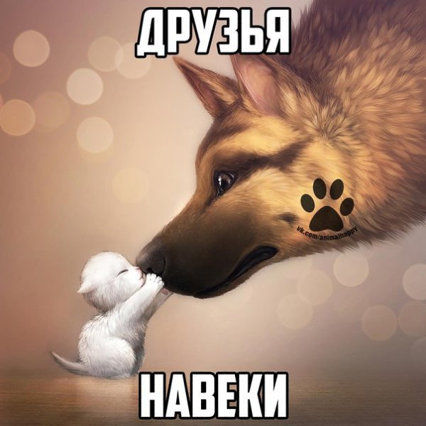    - 4  2017  01:11