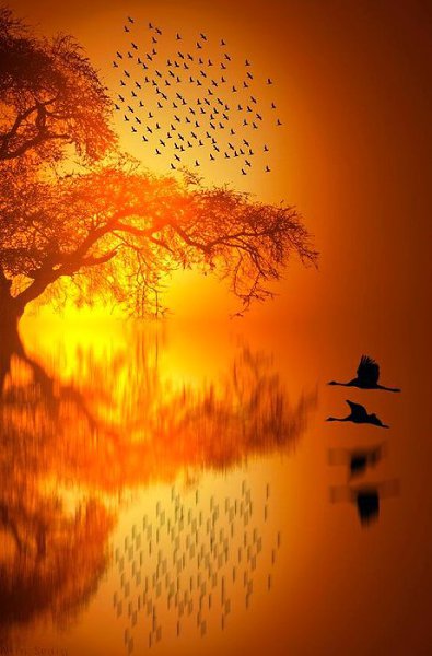 ))).   100%        : ...