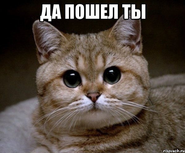 ))).Женщины обижаются не по конкретной причине, а по необъяснимой особенности своей натуры.Андрей ...