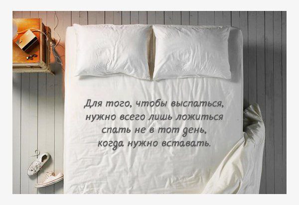 ������� ���� ������������� ����. ����� �� ���� ��������, ������� ����������� ������� � ������, ... - 24