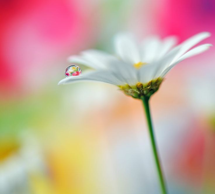 ������ ������� - 2