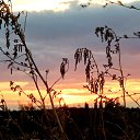 ���� Lyubov, ������ - ��������� 29 �������� 2016 � ������ �������������