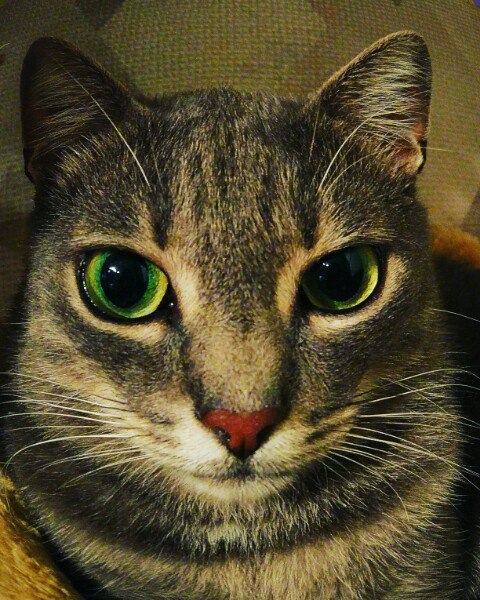  -  - 15  2017  18:21