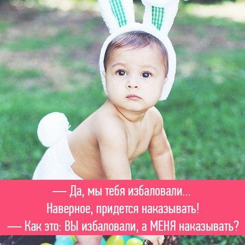  - 1  2016  19:56