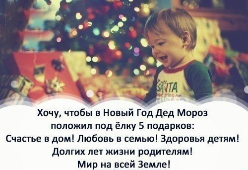   -  ,  -  - 16  2016  01:11