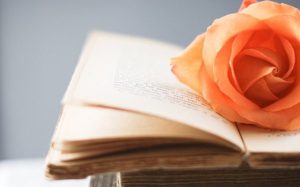 12 книг, которые навсегда изменят ваши представления об эффективном управлении.Сохраните себе на ...