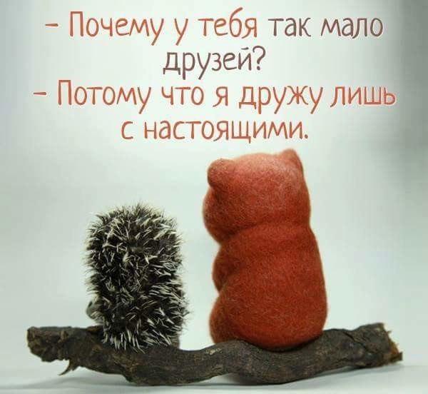 Татьяна - 11 февраля 2017 в 22:41