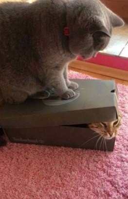, , !