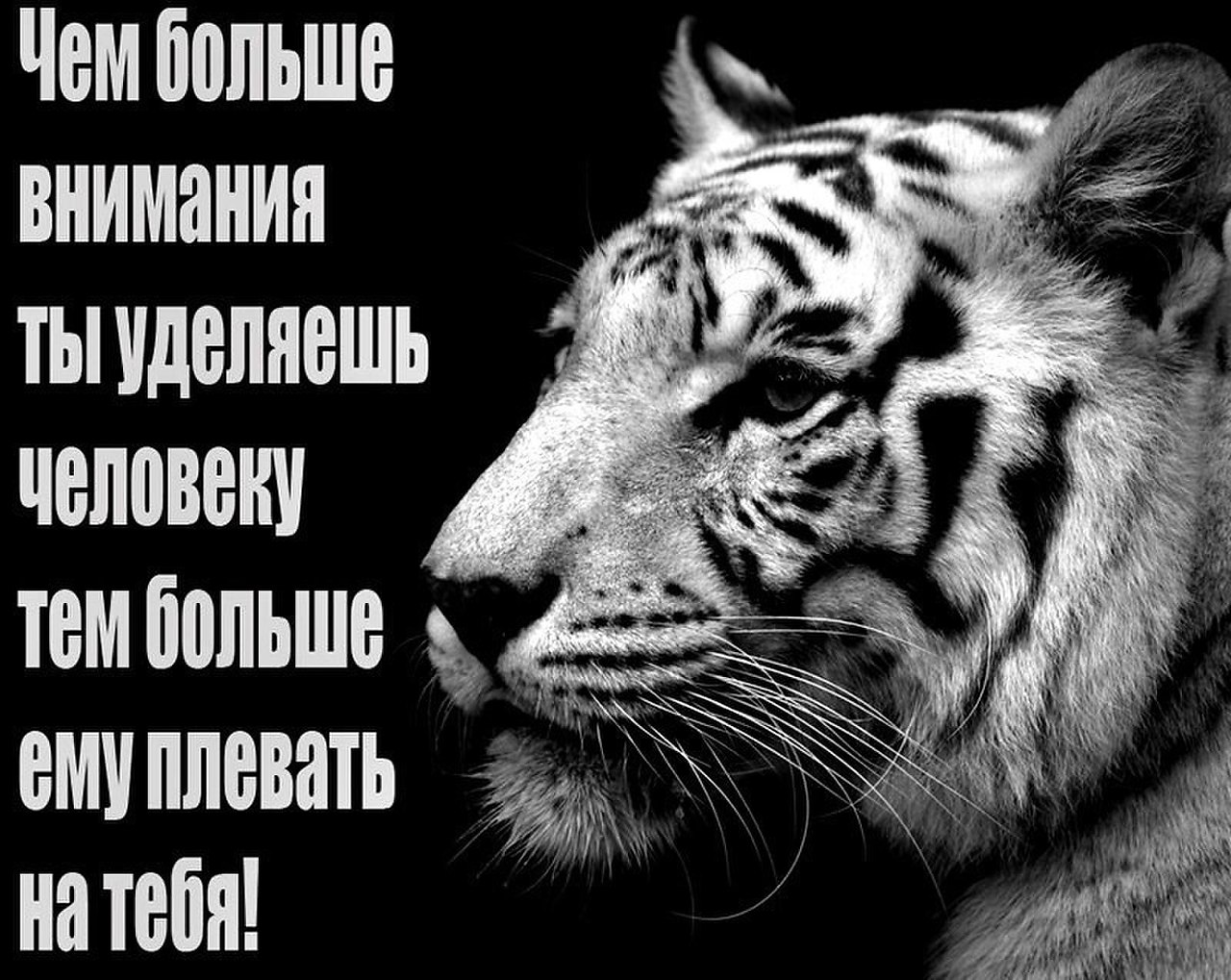 .https://fotostrana.ru/away?to=/sl/kxC2 - 4  2016  16:43