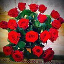 ���� ��������, ������-��-����, 41 ��� - ��������� 4 ������ 2016 � ������ ���� ����������