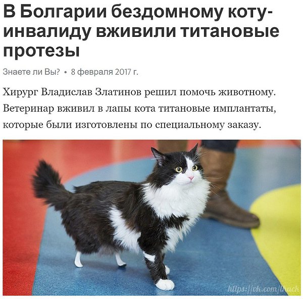  - 9  2017  12:40