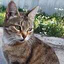 ���� ������, ������ �����, 33 ���� - ��������� 28 �������� 2016 � ������ ������ ��������