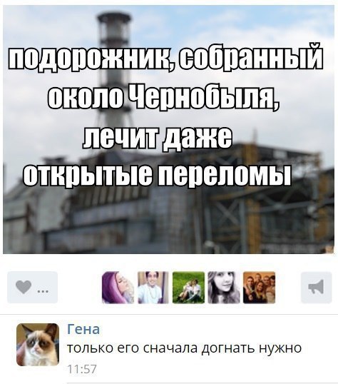  - 8  2017  10:37