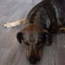 ���� �������, ������, 63 ���� - ��������� 3 ������ 2017 � ������ ���� ����������