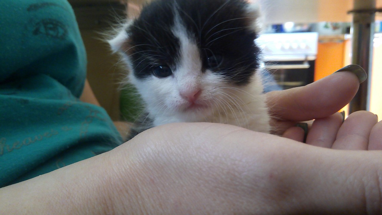 #_.         (,   ... - 2