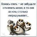 ���� Nadir, ����, 56 ��� - ��������� 5 ������� 2016 � ������ ���� ����������