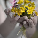 ���� �����, �����-��������� - ��������� 23 �������� 2016 � ������ ������ �����..... � ������� !!!....�