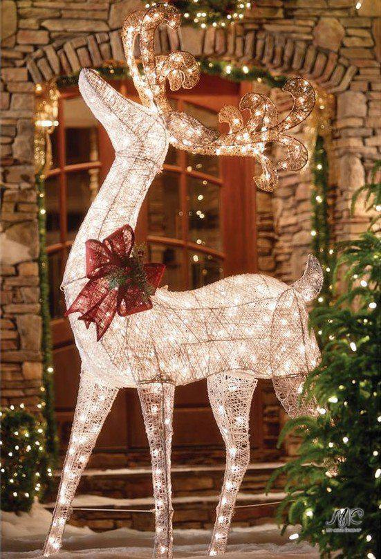    ,   .  .   ,  ... - 5