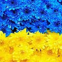 ���� �����, ����, 54 ���� - ��������� 10 ������� 2017