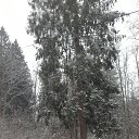 ���� �������, �����������, 53 ���� - ��������� 19 ������ 2016 � ������ ���� ����������