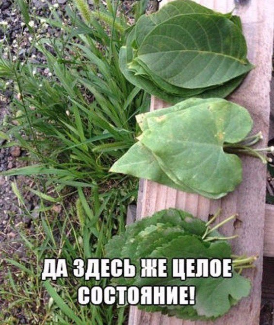 ���� - 2 ������ 2017 � 09:13