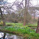 ���� Lana, ������, 54 ���� - ��������� 1 ������ 2017 � ������ �Timeline Photos�