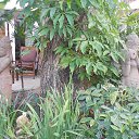    -  ,  -  6  2016    2014.  11.  lawana ( )