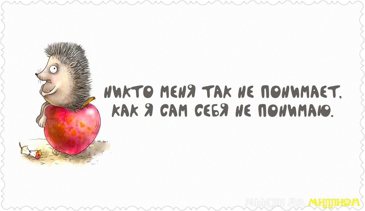 Сама поучись. Нельзя просто взять и. Верность волка цитаты. Сама поучись. День кота.