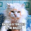 ���� �������, ��������, 53 ���� - ��������� 3 ������� 2016 � ������ ������ ��������