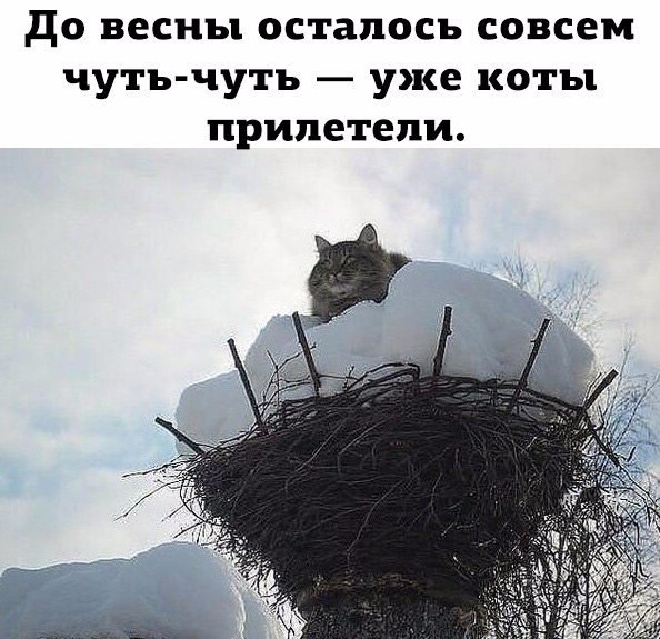   - 23  2017  18:12