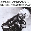 ���� ���, �����������, 51 ��� - ��������� 6 ������� 2017 � ������ ������ ��������