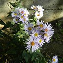  , , 73  -  25  2016     2016