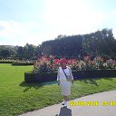 ���� �� ������� ���� ����������