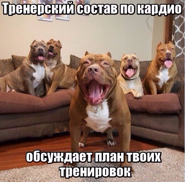���������. ������������. �����. ������ - 2 ������ 2016 � 18:07