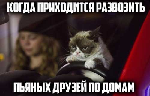  - - 3  2017  19:57