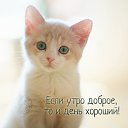  , - -  5  2016    