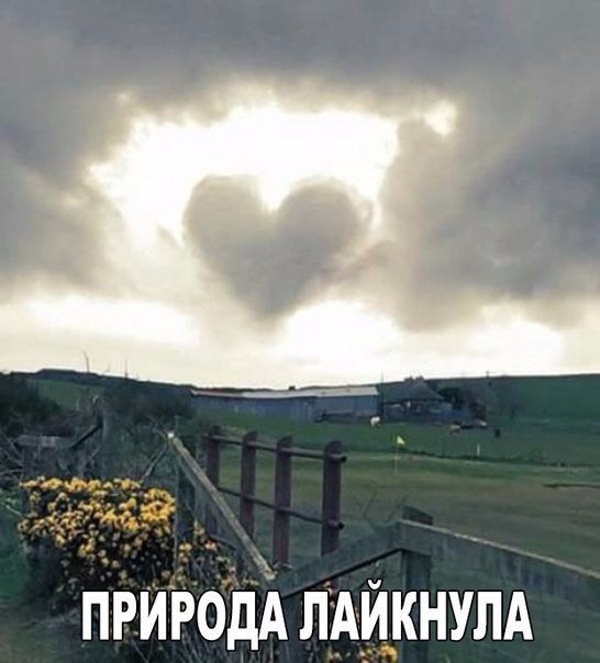   - 2  2016  14:11