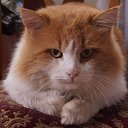 ���� ��������, ������-��-���� - ��������� 28 ������� 2016 � ������ ���� ����������