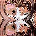  ,  -  28  2016         ӻ