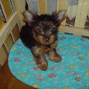 ���� ������, ���������, 55 ��� - ��������� 19 ������� 2016 � ������ ���� ����������