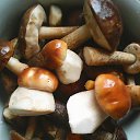 ���� �������, ������ ��������, 43 ���� - ��������� 15 �������� 2016 � ������ ���� ����������