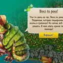 ���� ����,����33, ����� - ��������� 25 ������ 2017 � ������ ����� �� ���� - �������
