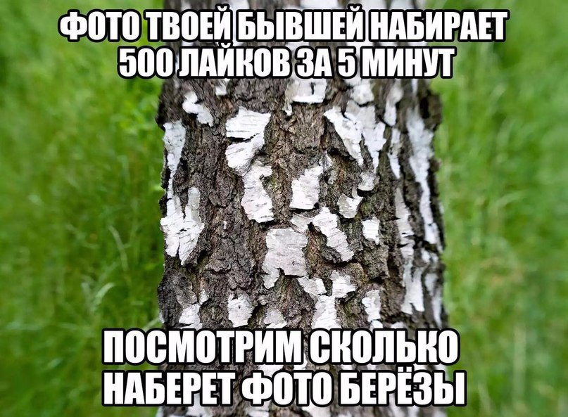     - 4  2016  12:35